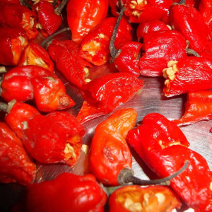 Naga Achar
