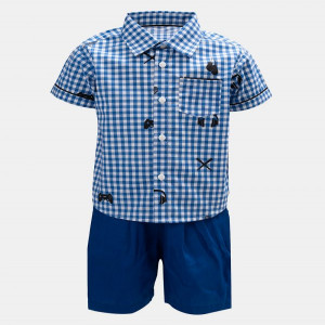 Blue Cotton Shirt Pant Set