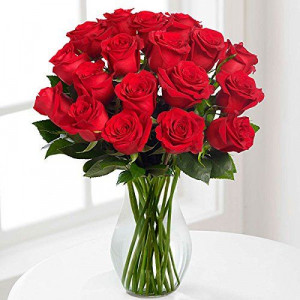 2-dozen-local-red-roses-in-vase