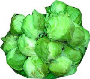 Cabbage