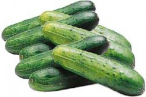 Cucumber