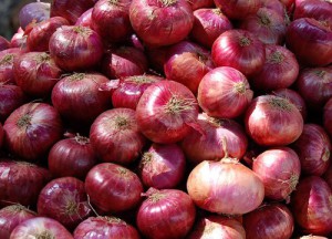 Onion