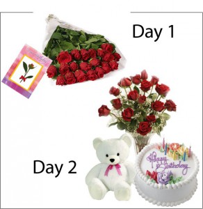 2 Days Combo-2