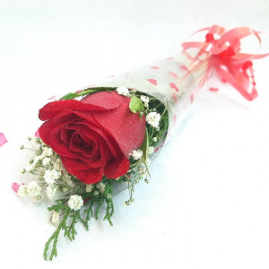 single-imported-red-rose-in-a-box