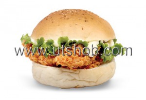 Spicy Burger