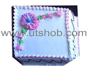 sizzle-cake-003
