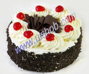 cocomaya-vanilla-cake-201