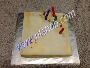 cocomaya-design-cake-57