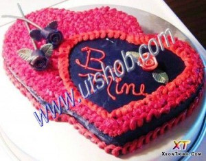 cocomaya-chocolate-cake-308