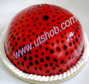 cocomaya-vanilla-cake-49