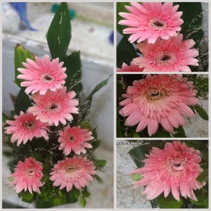 Pink Gerbera Flower Bouquet