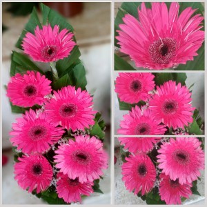 Majenta Pink Gerbera Flower Bouquet