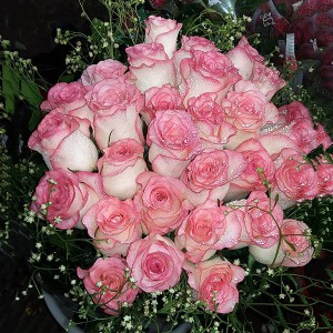 Light Pink Rose Flower Bouquet
