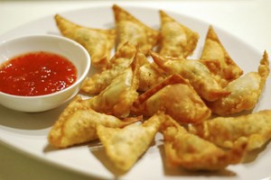 freid-wonton