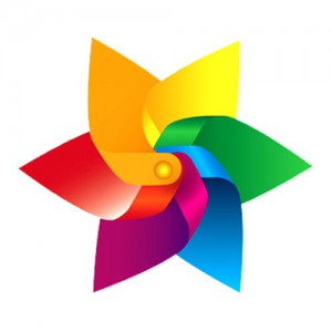 chicken-fried-rice-31
