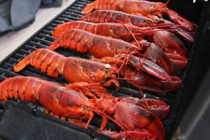 lobster Grilled / Steamed