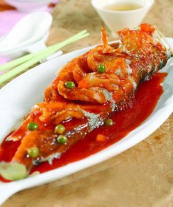 pla-pad-priew-wan