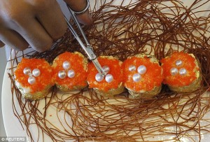 surf-turf-avalon-special