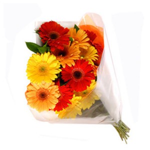 gerbera-flower-bouquet-1