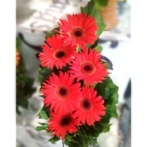 gerbera-flower-bouquet-4