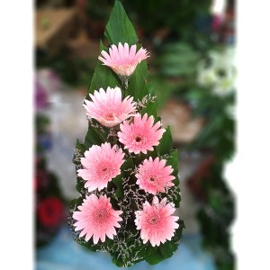 gerbera-flower-bouquet-16