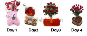 4 Days Combo 8