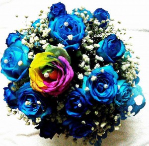 Blue and Rainbow Roses