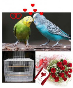 Special Valentine Combo 02
