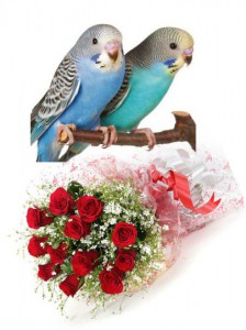 Special Valentine Combo 01