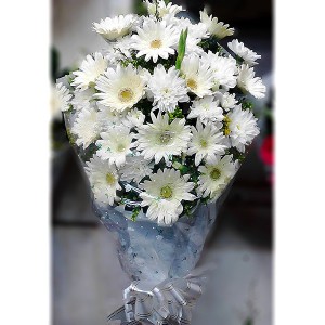 Flower 0043