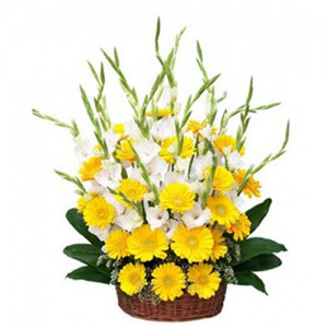 Flower 0048