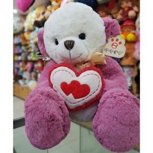Valentine Teddy 10