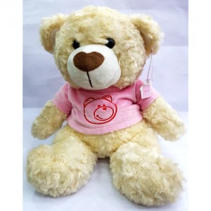 Taddy Bear 19