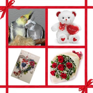 Valentine Couple Bird Combo