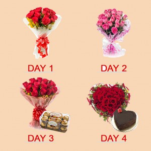 4 Day Serenades Surprise