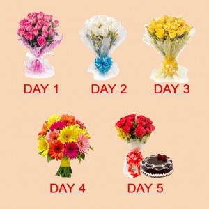 5 Day Serenade