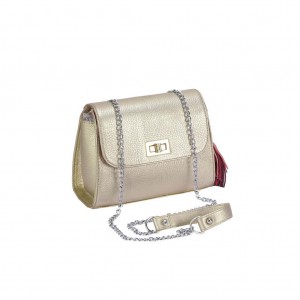 Golden Leather Bag