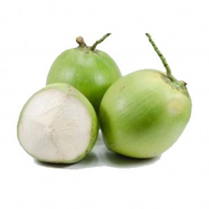 Green-Coconut 4 Pieces