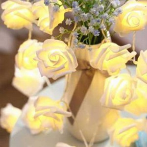Decorative Party Fairy Light