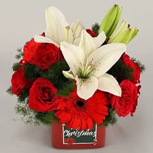 Merry Christmas Gerberas Roses Bunch