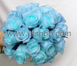 Sky Blue Roses
