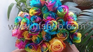Real Rainbow Roses