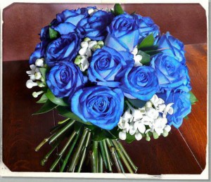 Sky Blue roses