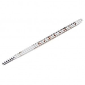 Clinical Thermometer