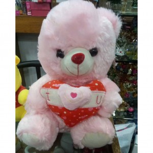 Anniversary Teddy