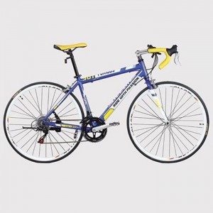 Duranta Allan Furious 700C Racing Bike