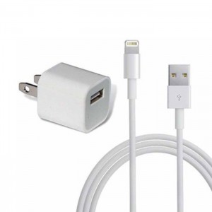 Genuine USB iPhone Charger A1385 with Cable for iPhone X, 8, 7, 6S, 6 Plus, 5, 5C, 5S