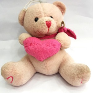 Taddy Bear 15