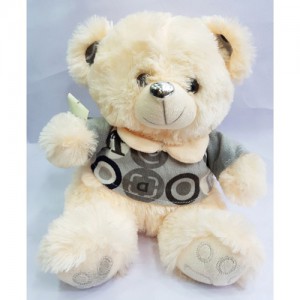 Taddy Bear 17