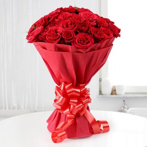 24 Vivid Roses